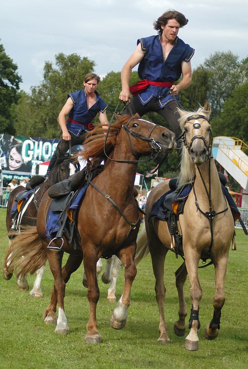 Western Riding - The Basics